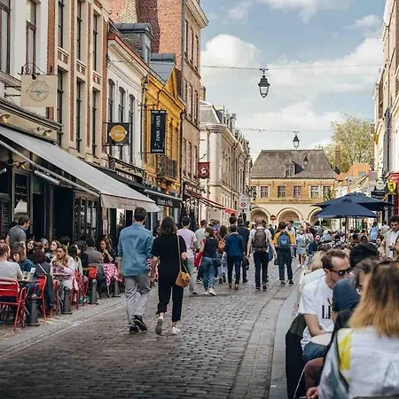 公寓 Le Garage - Insolite A 2 Pas De Lille