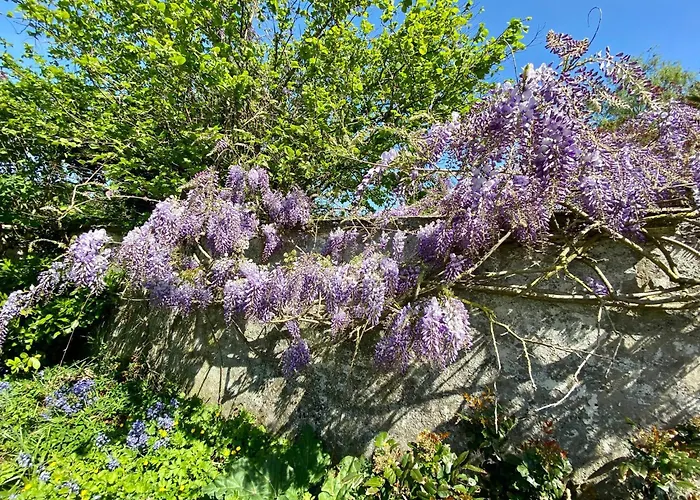 Le Garage - Insolite A 2 Pas De Lille Apartment